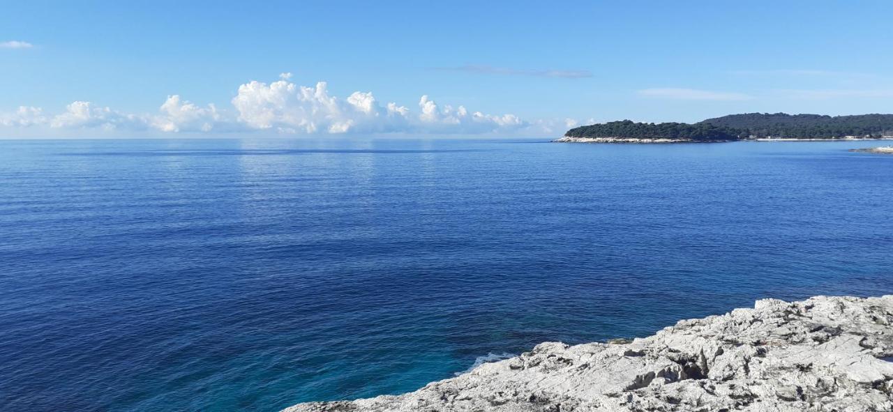 Lennida Studio Apartman With Free Parking Kavran Εξωτερικό φωτογραφία
